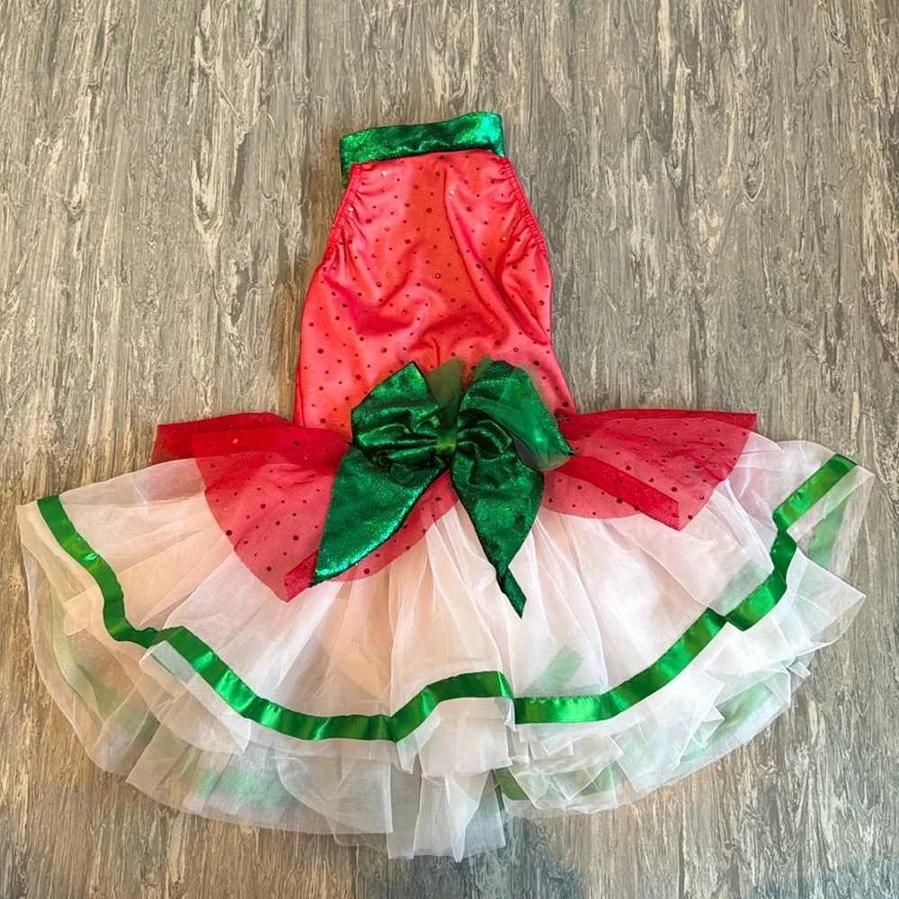 Cicci Dance Costume Leotard Tutu Ballet